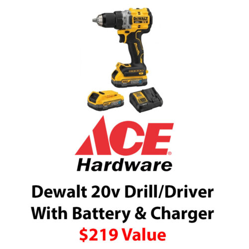 Ace Distribution $219 DeWalt 20v Max Brushless 1/2" Drill/Driver with Battery and Charger