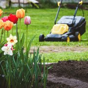 Lawn and Garden Category